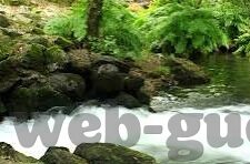 91麻豆视频-总而言之我们需要有一个健全的管理机制和技术革新的共同推进让数字化时代下的网络空间成为一个既丰富多姿又一清如水（通过技术的革新和社会共持）